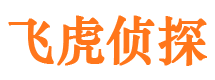 罗平外遇调查取证